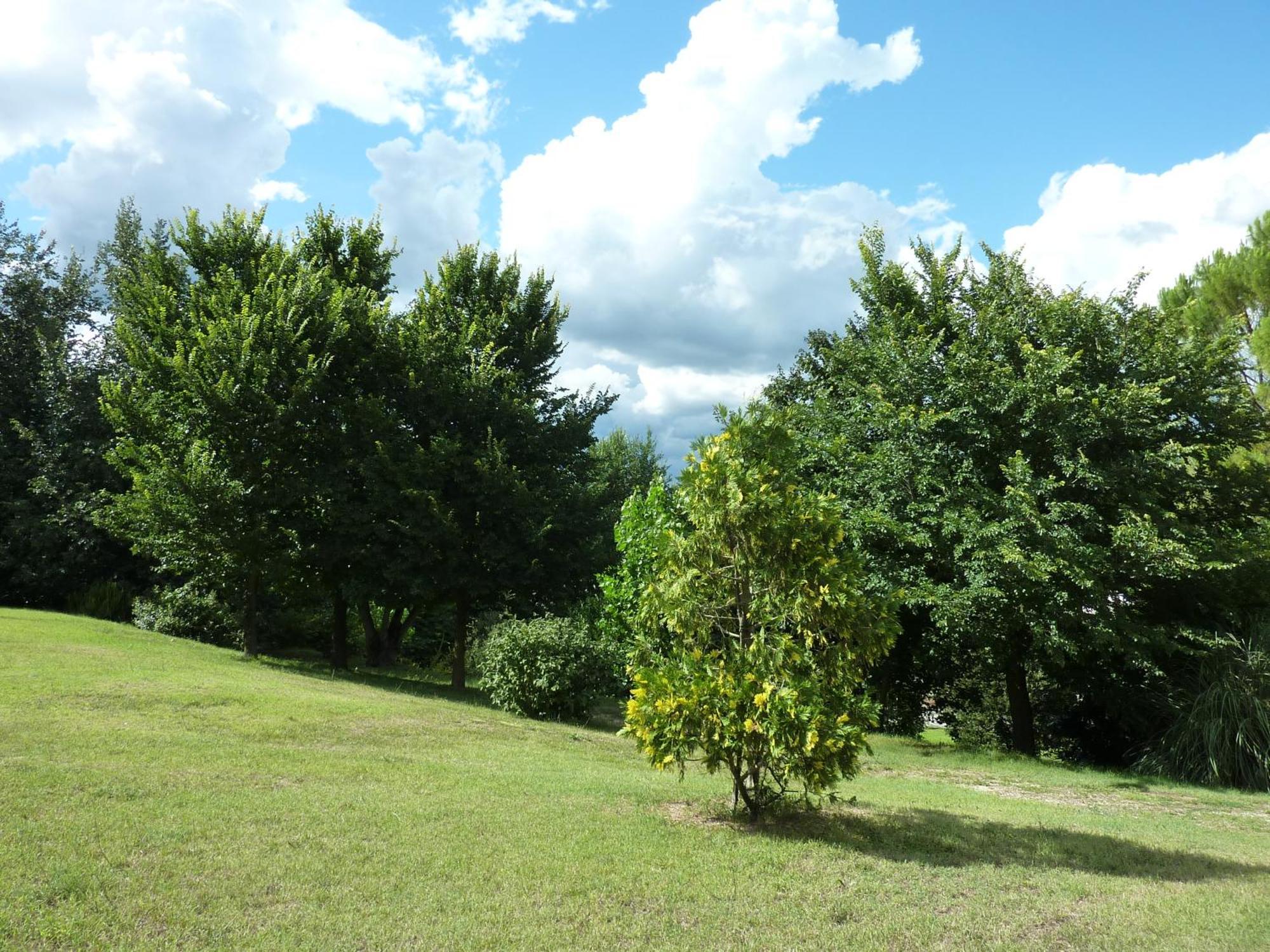 La Rocca Ξενοδοχείο Νάρνη Εξωτερικό φωτογραφία
